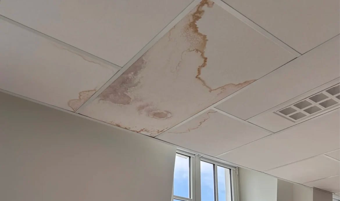 plafond réparation toit école